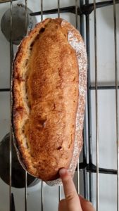 pain levain liquide